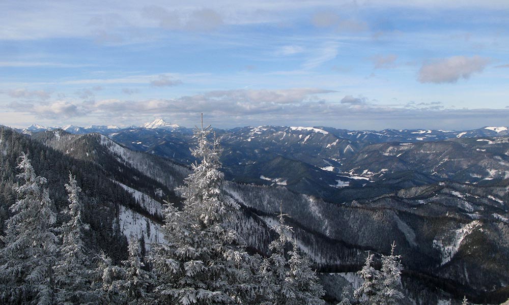 obersberg